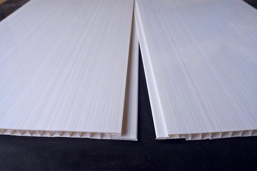 23143257 (1)(1).jpg 23143257 (1)(1).jpg